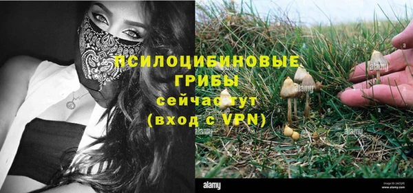 Альфа ПВП Иннополис
