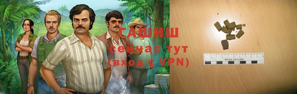 mix Инта