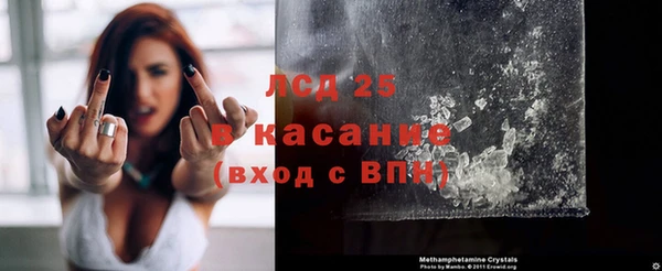 молекула духа Инсар