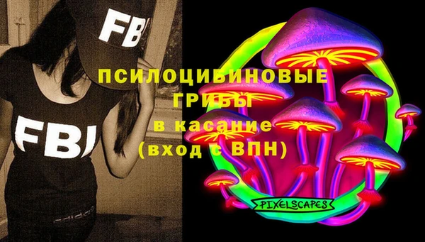 молекула духа Инсар