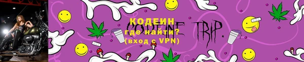 спиды Каменногорск