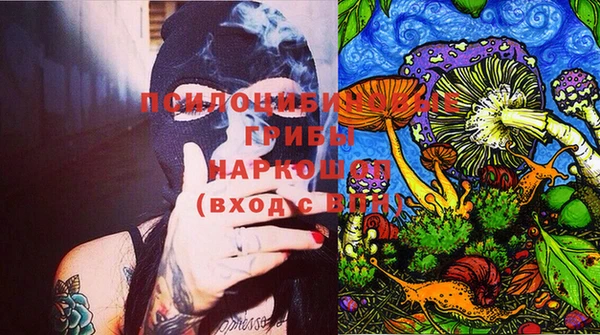 марки nbome Каменка