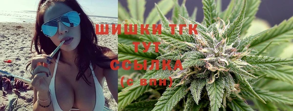 молекула духа Инсар
