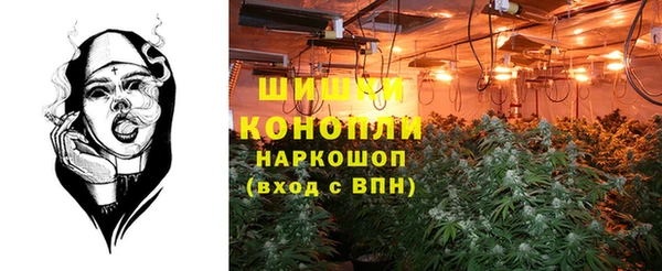 спиды Каменногорск