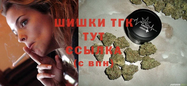 спиды Каменногорск