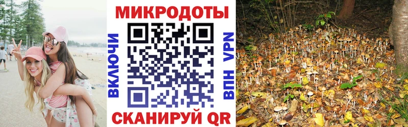Галлюциногенные грибы Psilocybine cubensis  Купить  Калязин 